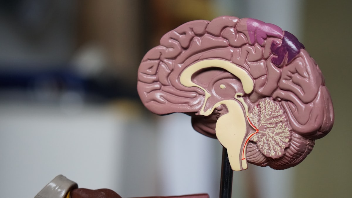 Microdosing and Mental Health: What the Evidence Says Today